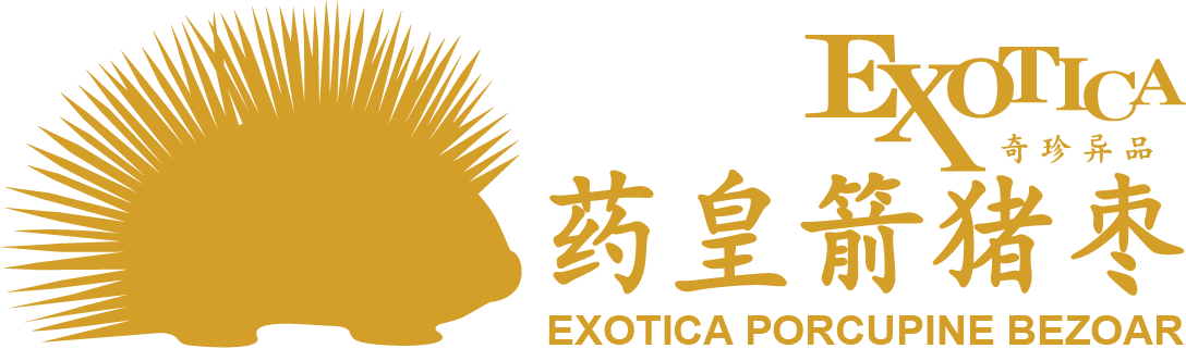 Exotica 药皇箭猪枣 logo